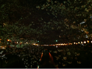 image-20120415005953.png