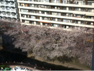 image-20120415010212.png
