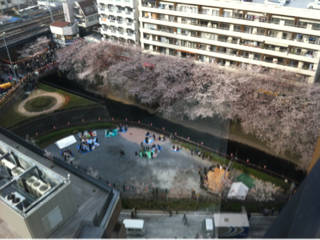 image-20120415010429.png