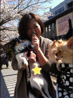 image-20120415010512.png