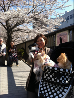 image-20120415010536.png