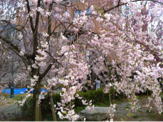 image-20120415010659.png