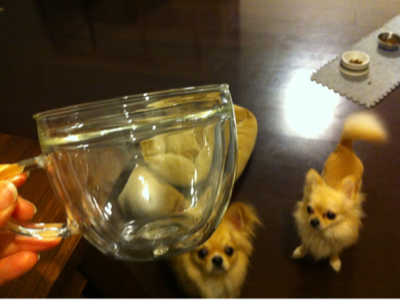 image-20120429030032.png