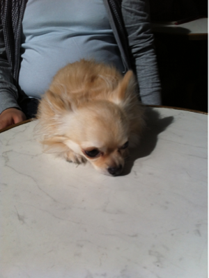 image-20120430183452.png
