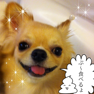image-20120606054600.png