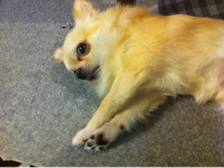 image-20120819233012.png