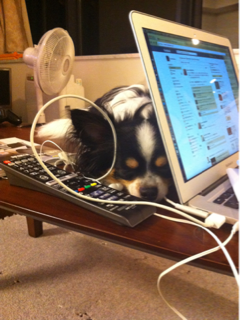 image-20120819233037.png