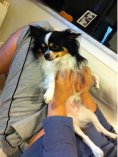 image-20120819233132.png