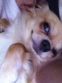 image-20120819233751.png