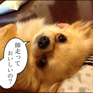 image-20121201061442.png
