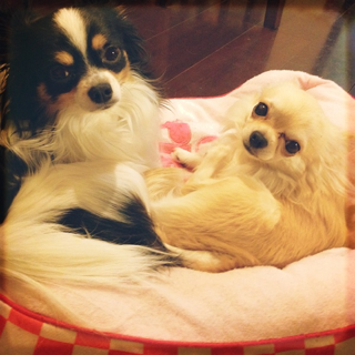 image-20121210204126.png