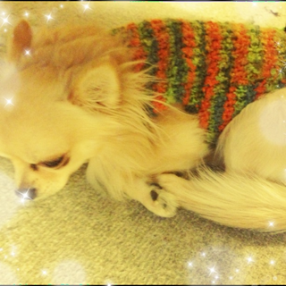 image-20121210204244.png