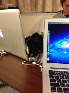 image-20130115001235.png