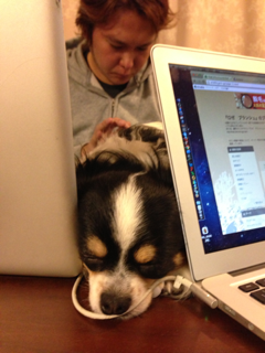 image-20130115001249.png