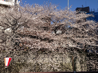 image-20130330040429.png