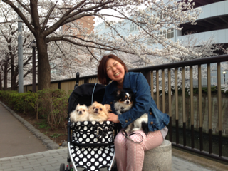image-20130330040734.png