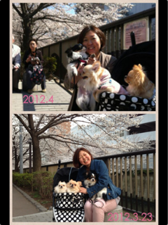 image-20130330040923.png