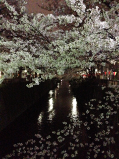 image-20130330041016.png