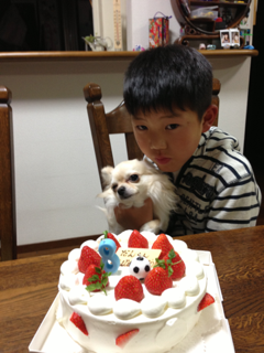 image-20130517205650.png