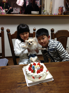image-20130517205703.png