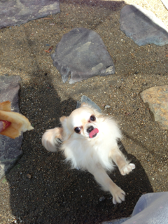 image-20130517205724.png