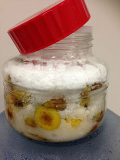 image-20130618035039.png