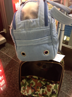 image-20140102213630.png