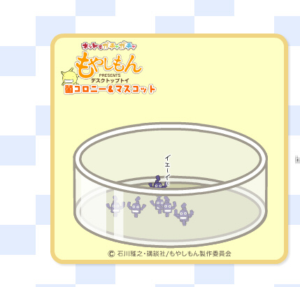 moyashi.jpg