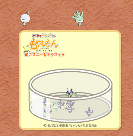 moyashi20071129.jpg