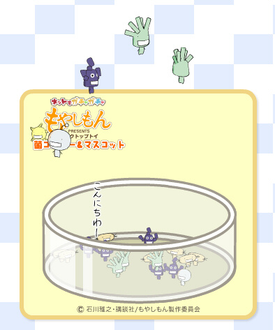 moyashimon1201.jpg