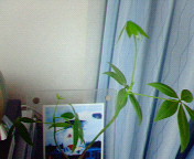 200608220011000.jpg