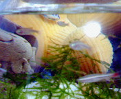 200608252242000.jpg