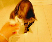 200608261227000.jpg