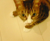 200608261214000.jpg