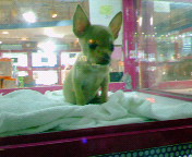 200609020111000.jpg
