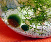 200610121044000.jpg