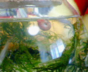 200610121046000.jpg