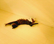200610212026000.jpg