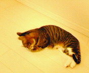 200610212027000.jpg