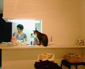 200610212029000.jpg