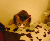 200610212044000.jpg