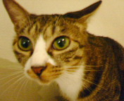 200610212045000.jpg