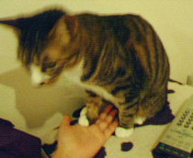 200610212046000.jpg