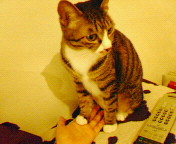 200610212047000.jpg