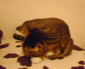 200610220120000.jpg