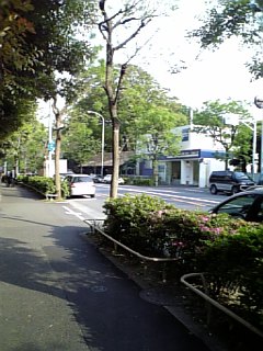 070513_162336.jpg