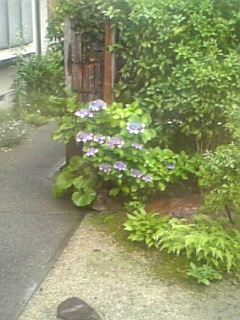 070624_145520.jpg