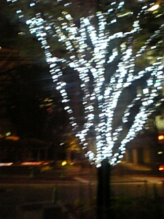 071006_040030.jpg