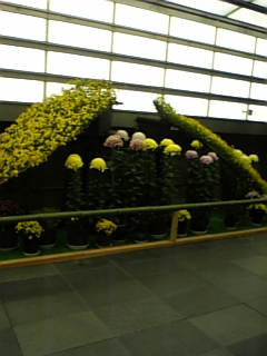 071105_175604.jpg