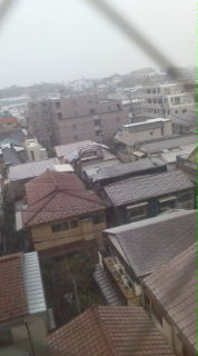 20080123071848.jpg